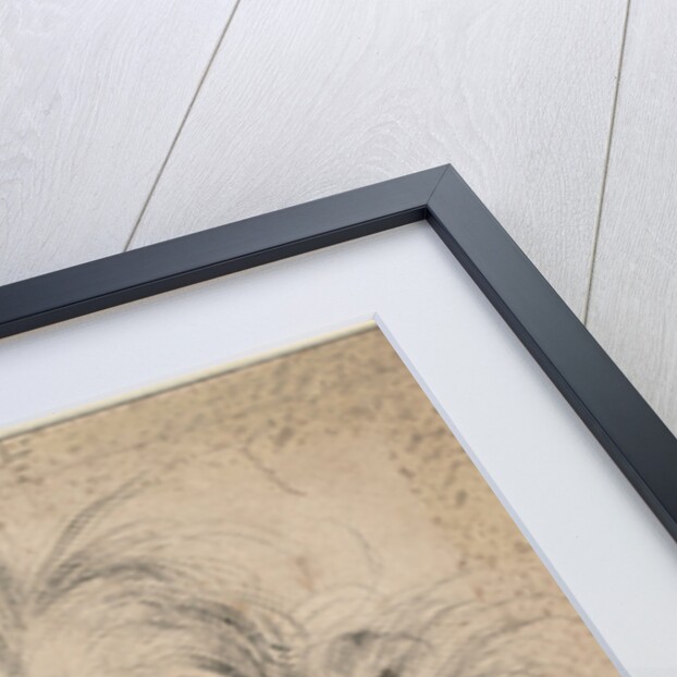 Head of a Bearded Old Man (Saturn), 1516 by Hans Baldung