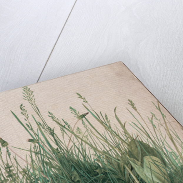 The Large Piece of Turf, 1503 by Albrecht Dürer