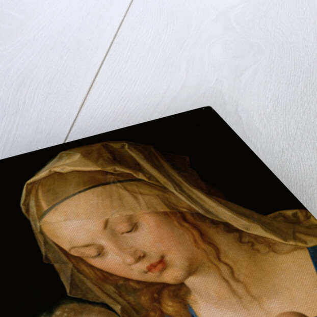 Virgin and child with a pear, 1512 by Albrecht Dürer