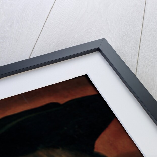 Portrait of Bernhard von Reesen, 1521 by Albrecht Dürer