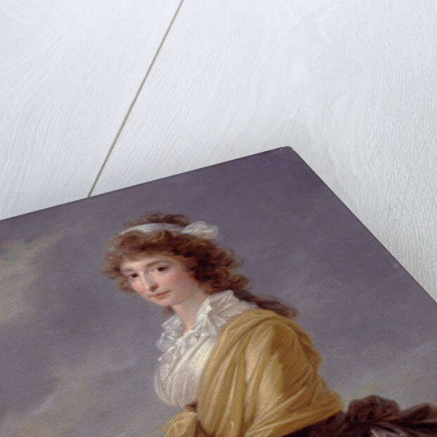 Portrait of Countess Elisabeth von Thun-Hohenstein, 1787 by Heinrich Friedrich Füger