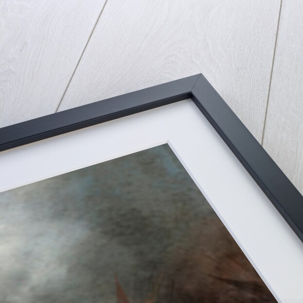 The Turkish War by Jacob Matthias Weyer