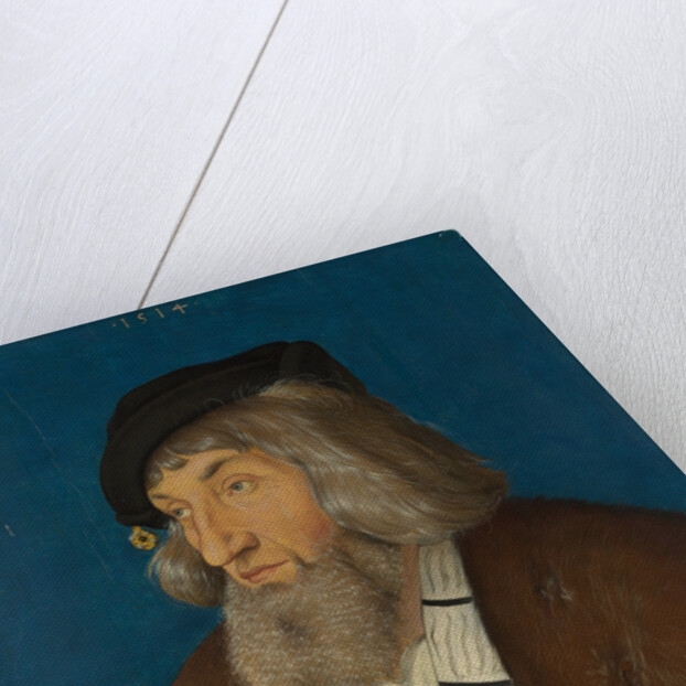 Portrait of a Man, 1514 by Hans Baldung