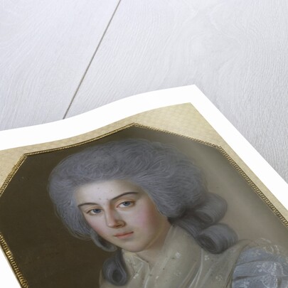 Portrait of Countess Anna Alexandrovna Golitsyna, Baroness Stroganova, 1786 by Johann Bardou