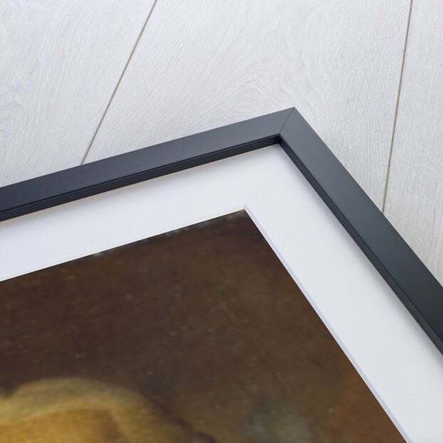 Portrait of the field marshal and politician Count Burkhard Christoph von Munnich, 1764 by Heinrich Buchholz