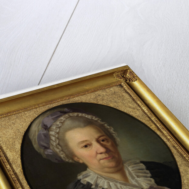 Portrait of Princess Yekaterina Ivanovna Cherkasova, née Hedvig Elisabeth von Biron, 1781 by Joseph Friedrich August Darbès