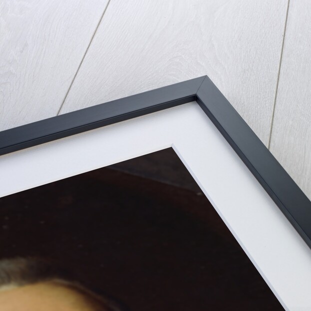 Portrait of Count Alexander Romanovich Vorontsov by Johann Heinrich Schmidt