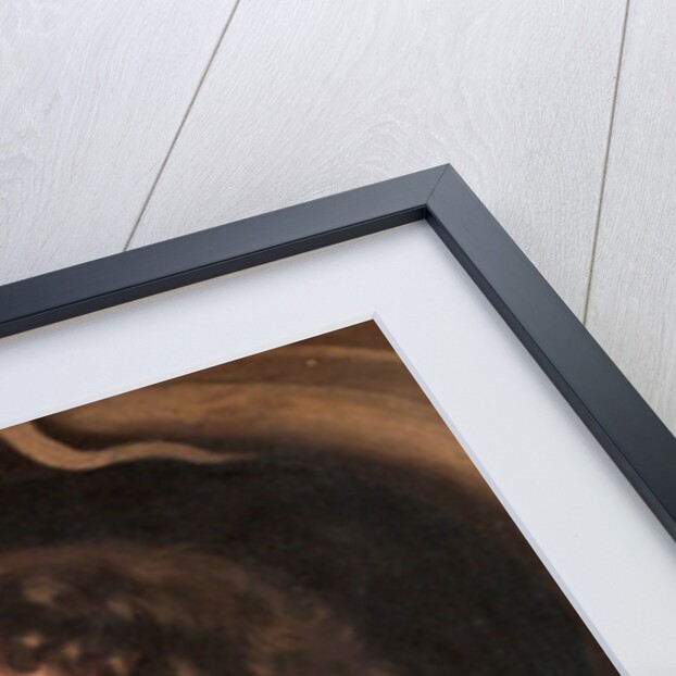 Charles Paulet, 1st Duke of Bolton by Mary Beale