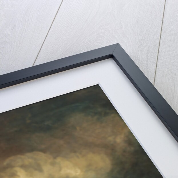 The Fifth Plague of Egypt, 1800 by Joseph Mallord William Turner