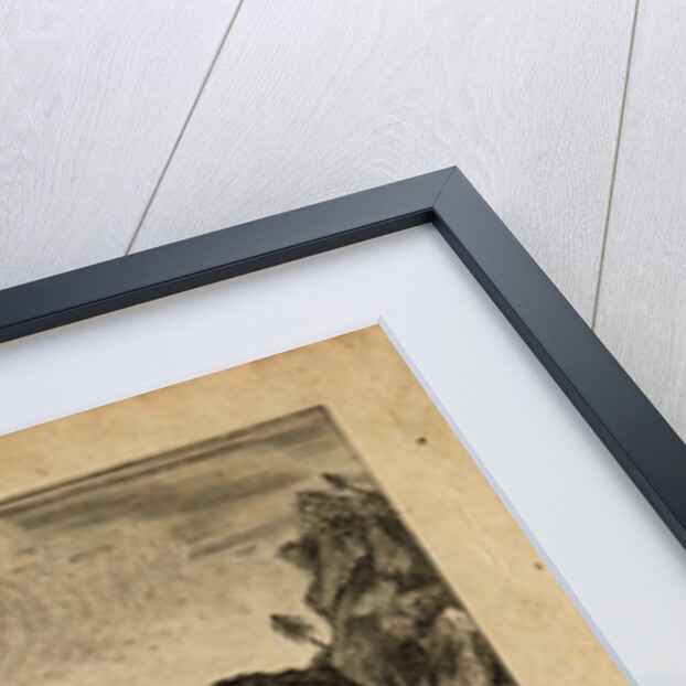 The Punishment of Russian Robbers on the River Volga, 1778 by Anonymous