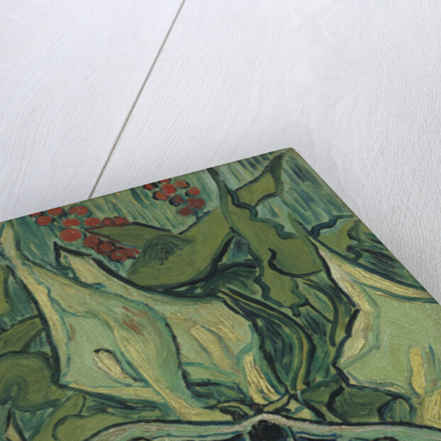 Green Peacock Moth (The Emperor Moth), 1889 by Vincent van Gogh