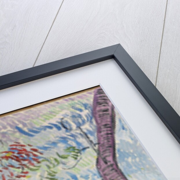 Parc de lhôpital Saint-Paul, 1889 by Vincent van Gogh