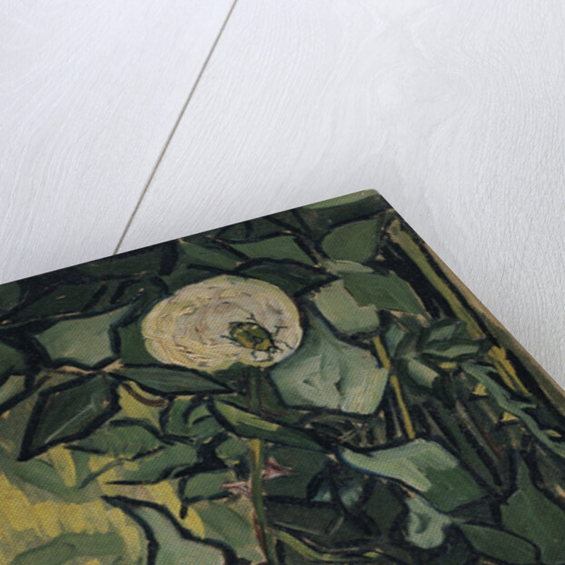 Roses, 1890 by Vincent van Gogh