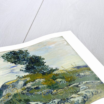The Rocks, 1888 by Vincent van Gogh