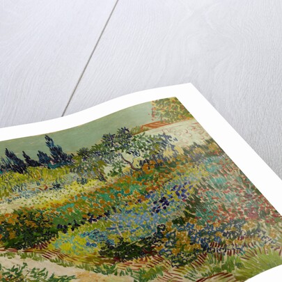 Garden at Arles, 1888 by Vincent van Gogh