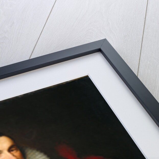 Portrait of Ambrosio Spinola, 1609 by Michiel Jansz. van Mierevelt