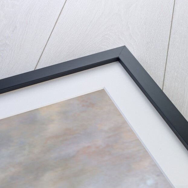 Landscape with Cornfields, 1638 by Salomon Jacobsz van Ruisdael