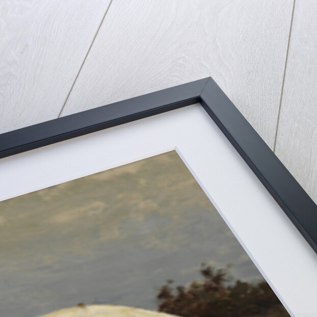 The Painter Gabriël Working in a Boat, 1882 by Willem Bastiaan Tholen