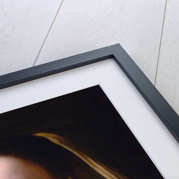 Study of a Young Woman, ca. 1665-1667 by Jan Vermeer