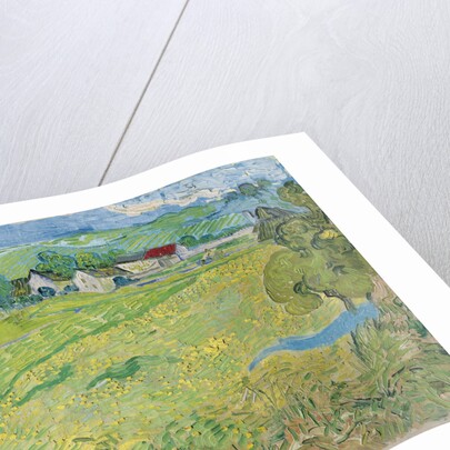 View of Vessenots in Auvers, 1890 by Vincent van Gogh