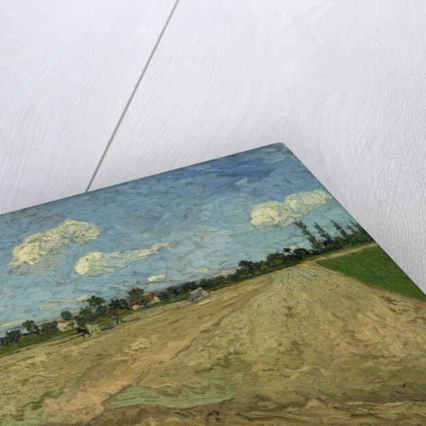 Ploughed fields (The furrows), 1888 by Vincent van Gogh