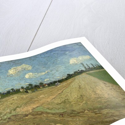 Ploughed fields (The furrows), 1888 by Vincent van Gogh
