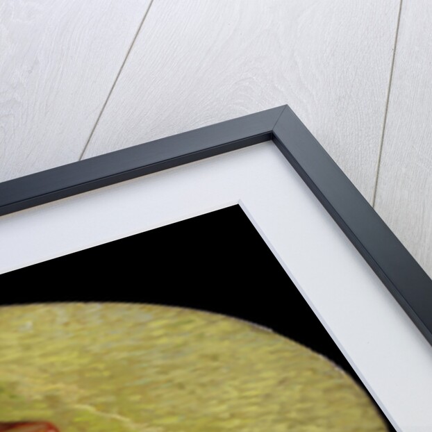 Three books, 1887 by Vincent van Gogh