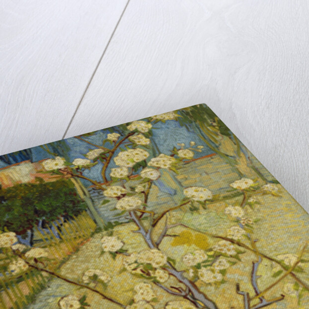 Small pear tree in blossom, 1888 by Vincent van Gogh