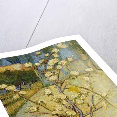 Small pear tree in blossom, 1888 by Vincent van Gogh