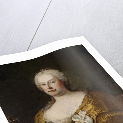 Portrait of Empress Maria Theresia of Austria, 1750s by Martin van Meytens the Younger