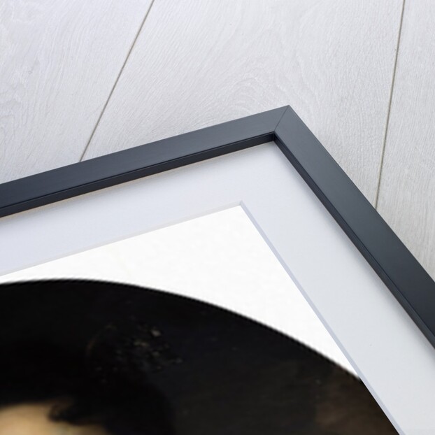 Portrait of Empress Catherine I., 1717 by Carel de Moor