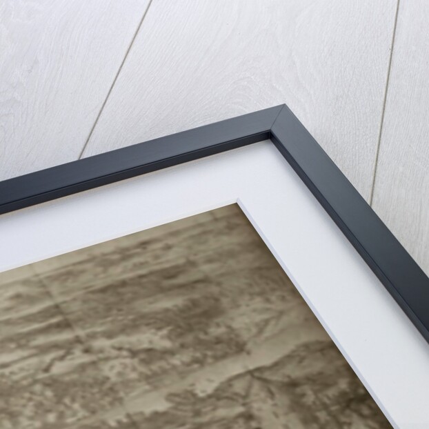 Siege of the Turkish Fortress Azov by Russian Forces in 1696, um 1700 by Adriaan Schoonebeek