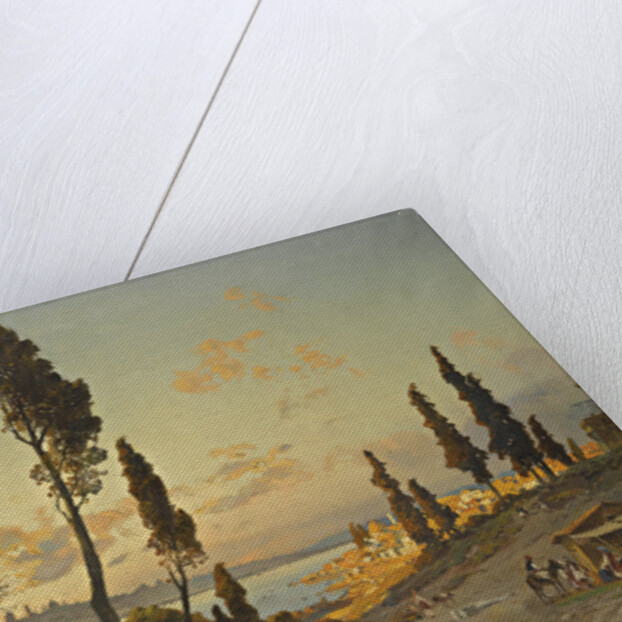 Views across the Bosphorus, Constantinople by Hermann David Salomon Corrodi