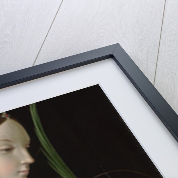 Saint Catherine of Alexandria, 1514 by Antonio de Solario