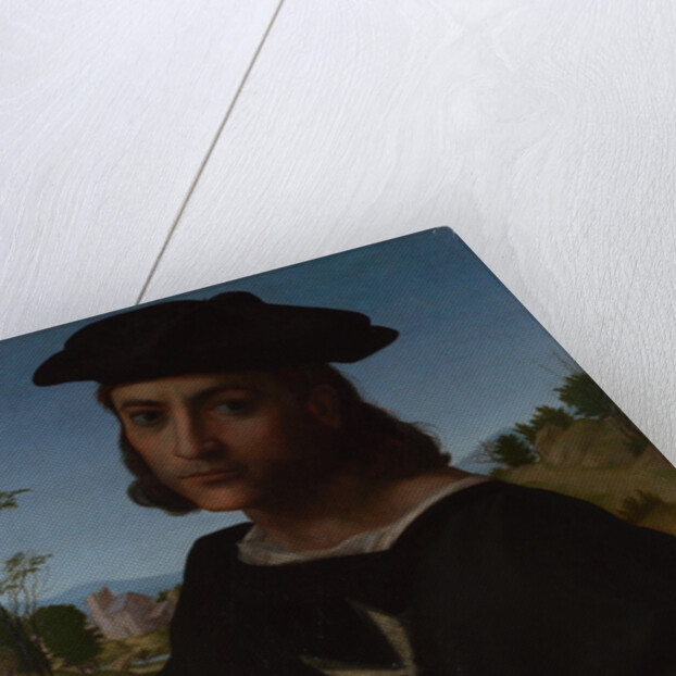 Portrait of a Knight of Rhodes, 1514 by Franciabigio