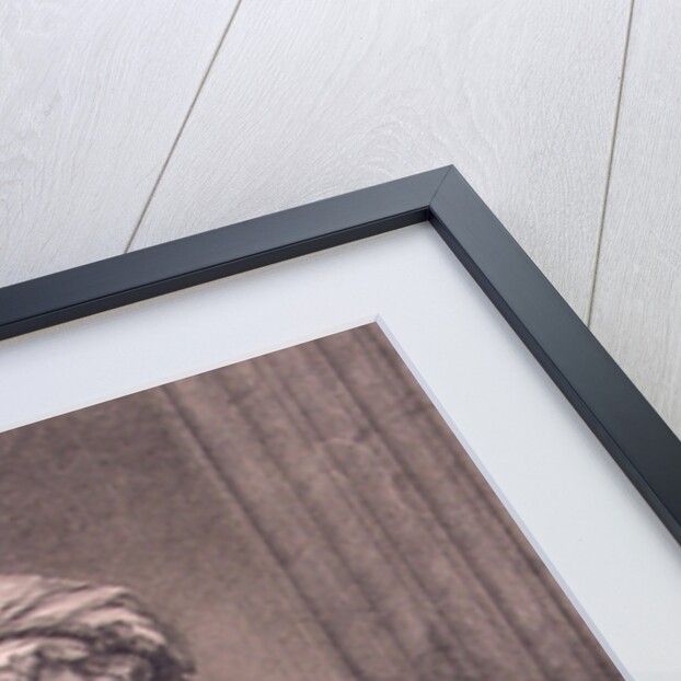 Portrait of Countess Yekaterina Skavronskaya, née von Engelhardt, 1791 by Guglielmo Morghen