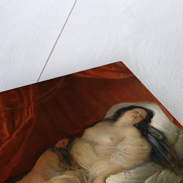 An odalisque in red interior, Early 19th cen by Natale Schiavoni