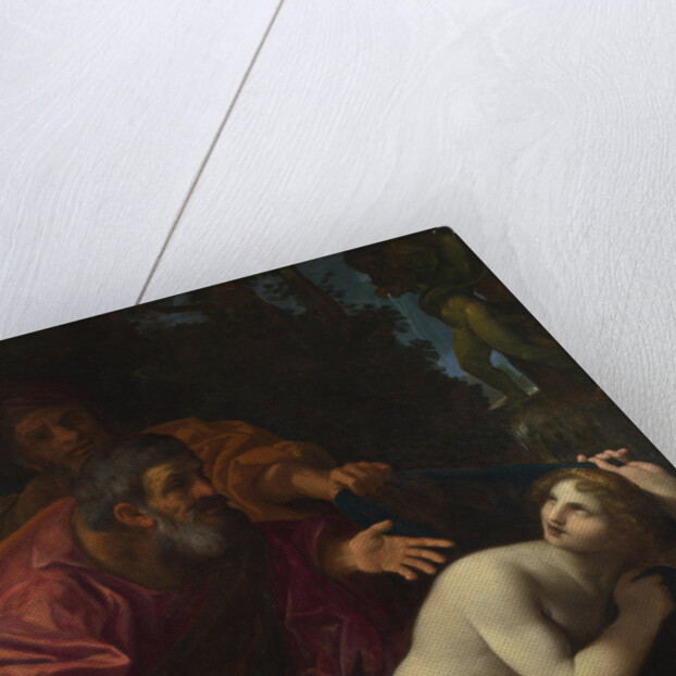 Susannah and the Elders, 1616 by Lodovico Carracci