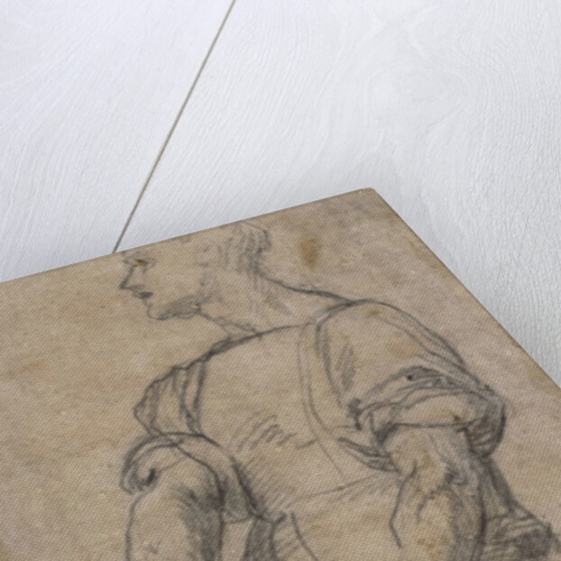Standing youth holding a book, ca 1515 by Andrea del Sarto