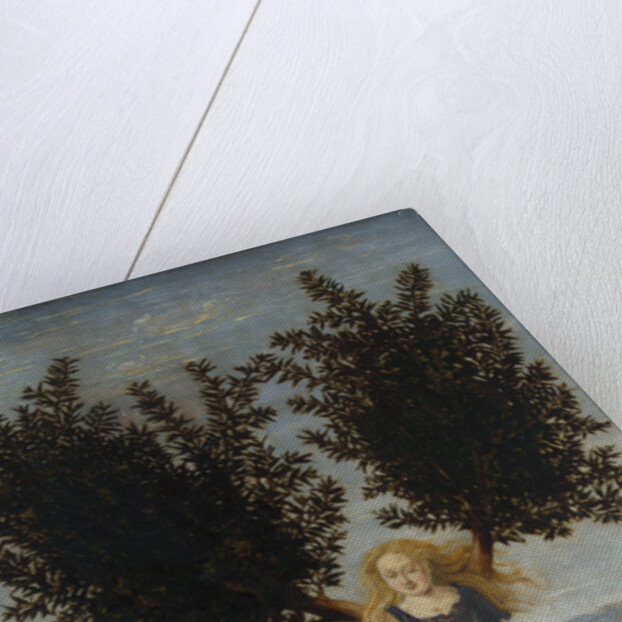Apollo and Daphne, ca. 1470-1480 by Antonio Pollaiuolo