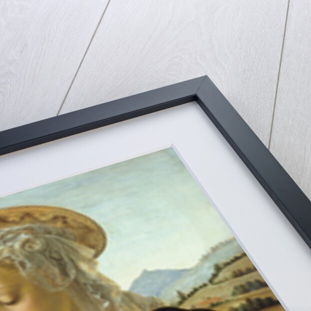The Virgin and Child by Andrea del Verrocchio