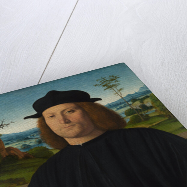 Giovanni Cristoforo Longoni, 1505 by Andrea Solari