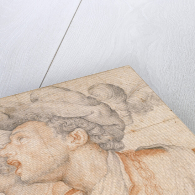 Two Youths Heads, ca 1590 by Camillo Procaccini