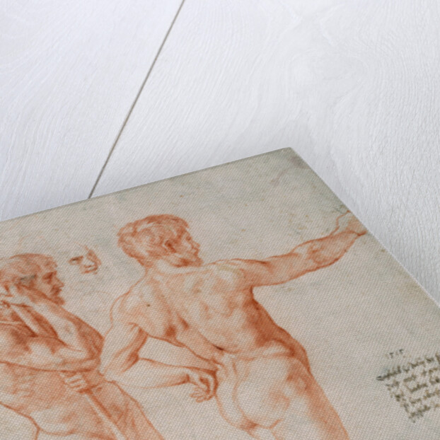 Two Nude Studies by Raphael