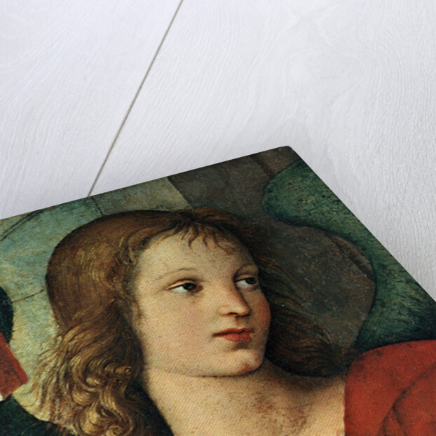 Head of an Angel, c. 1500 by Raphael