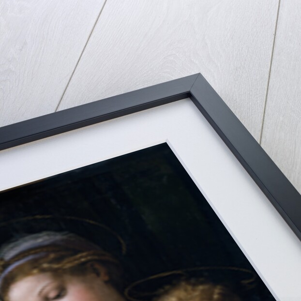 The Madonna of the Rose (Madonna della rosa), c. 1520 by Raphael