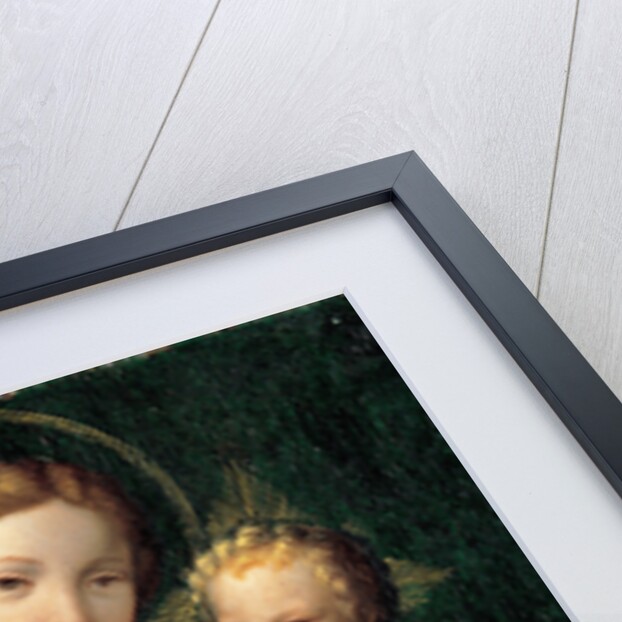 Madonna with the Child, 1512 by Benvenuto Tisi da Garofalo