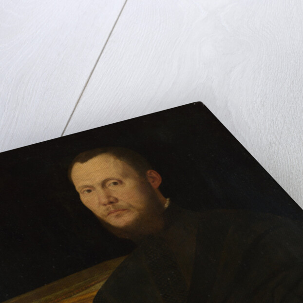 Portrait of a Musician, c. 1565 by Bernardino Campi
