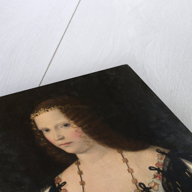 Portrait of a Young Lady, c. 1510 by Bartolomeo Veneto