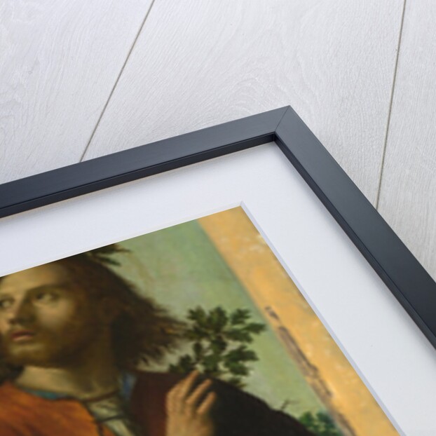 Saint Roch, 1518 by Paolo Morando